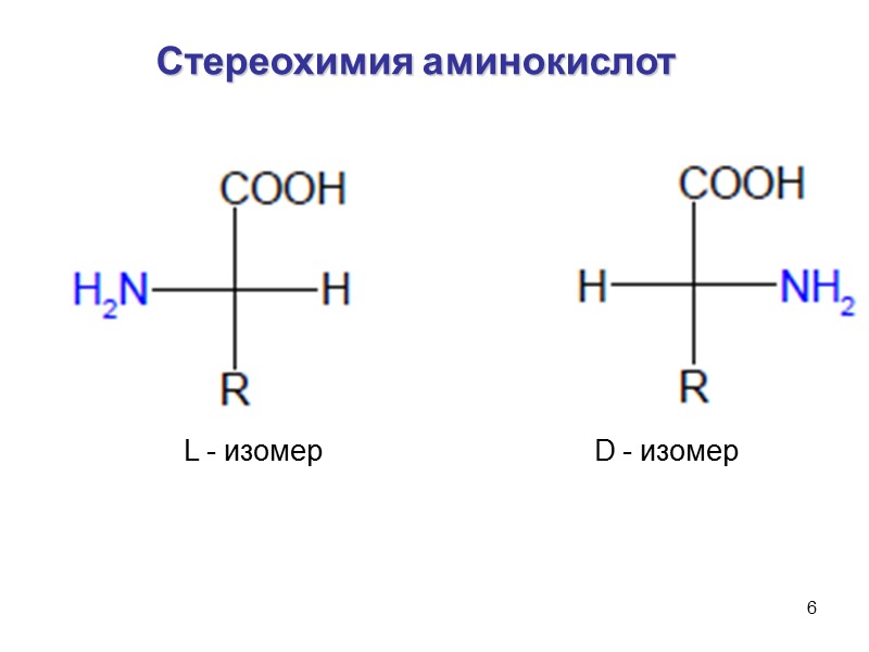 6 Стереохимия аминокислот L - изомер        